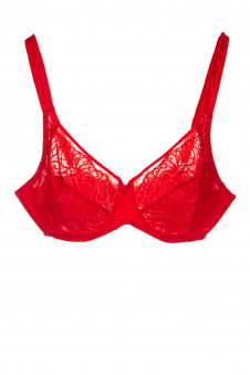 Бюстгальтер