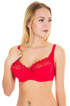 Бюстгальтер