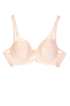 Бюстгальтер