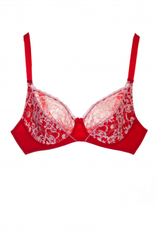 Бюстгальтер