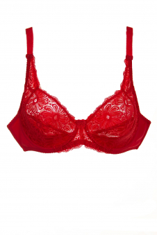 Бюстгальтер