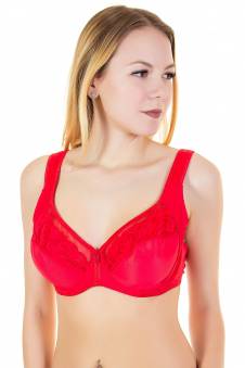 Бюстгальтер